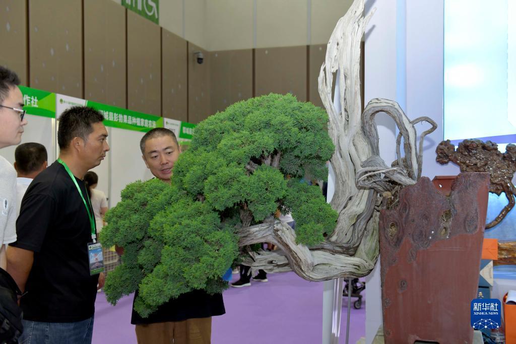 搜狗浏览器